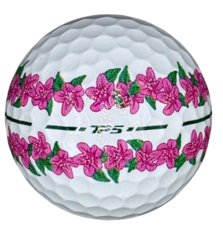TaylorMade - TP5 White golf ball with pink Stripe on white background
